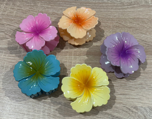 PINZA HAWÁI