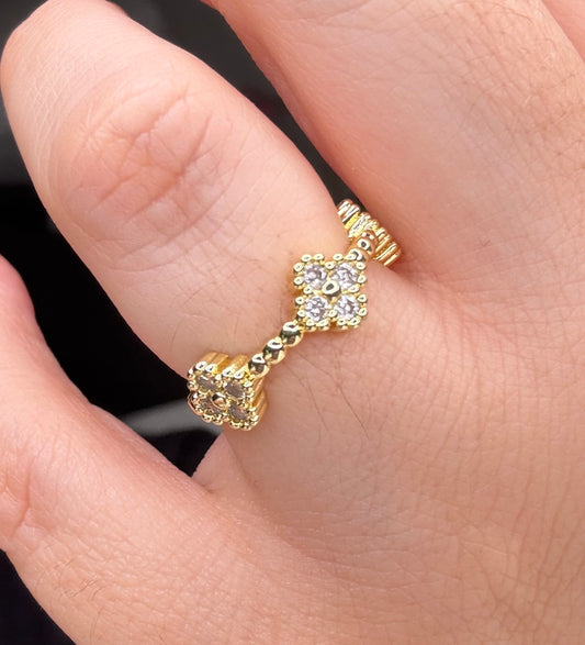 Anillo van 1