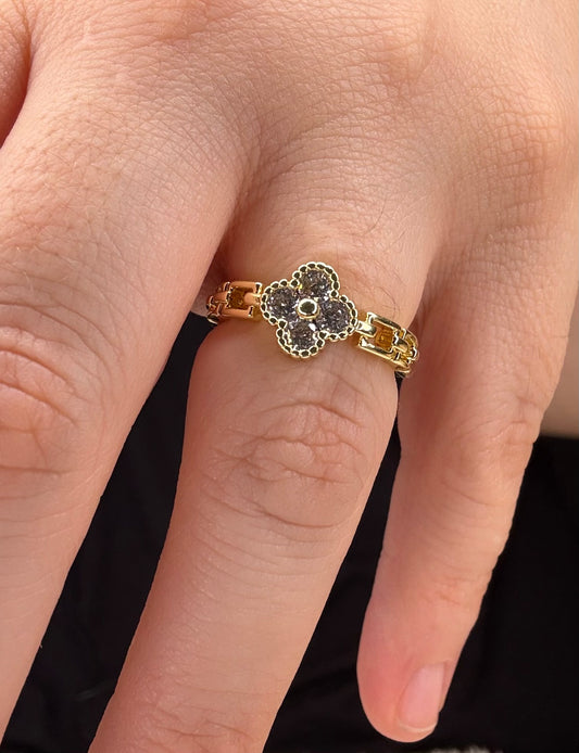 Anillo van 2